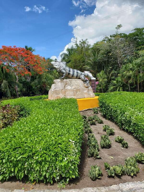 From Cozumel: Chankanaab Park Day pass with Open Bar & Lunch - FAQ