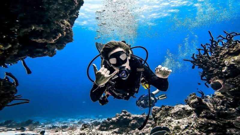 From Cozumel: Double Tank Scuba Diving for Certified Divers - Practical Details: Transportation, Equipment, and Costs