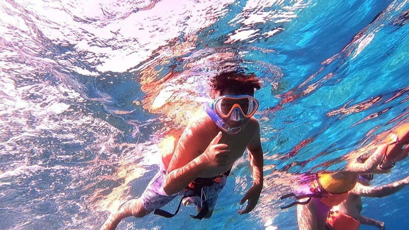 From Cozumel: Official Chankanaab Park Day Pass and Snorkel - An Introduction to the Chankanaab Experience