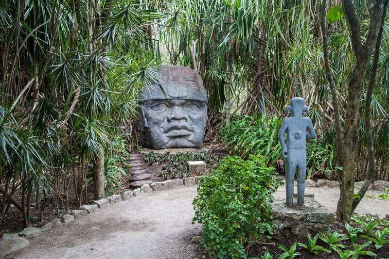 From Cozumel: Official Chankanaab Park Day Pass and Snorkel - Guest Testimonials and Insights