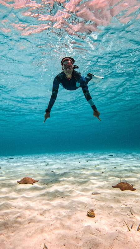 From Cozumel: Snorkel Private Charter to el Cielo & Cielito - Starting Point: Cha Cha Cha Dive Shop