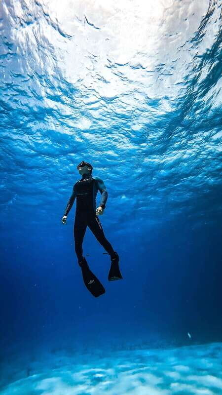 From Cozumel: Snorkel Private Charter to el Cielo & Cielito - First Reef Stop: Cozumel Reef Marine Life Viewing