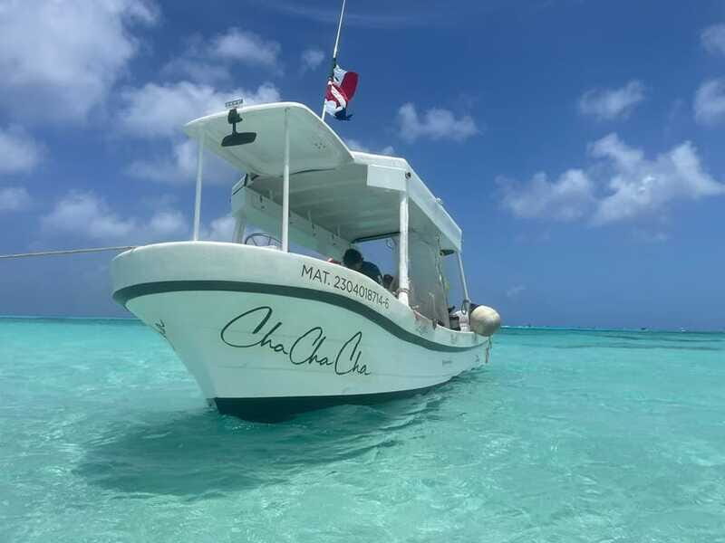 From Cozumel: Snorkel Private Charter to el Cielo & Cielito - Second Reef Snorkeling: Another 20 Minutes of Marine Wonder