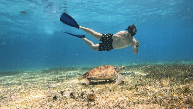 From Cozumel: Snorkel Private Charter to el Cielo & Cielito - Return Journey: 40 Minutes on the Speedboat