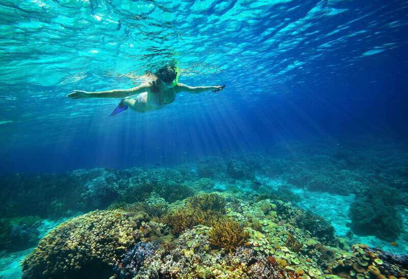 From Cozumel: Snorkel Private Charter to el Cielo & Cielito - Arrival Back at the Dive Shop