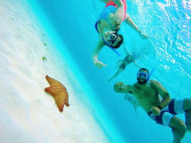 From Cozumel: Starfish, Stingrays and the Turtle Sanctuary - Introduction