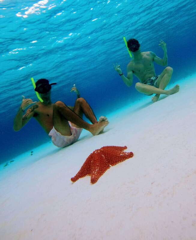 From Cozumel: Starfish, Stingrays and the Turtle Sanctuary - Authentic Experiences & Authenticity