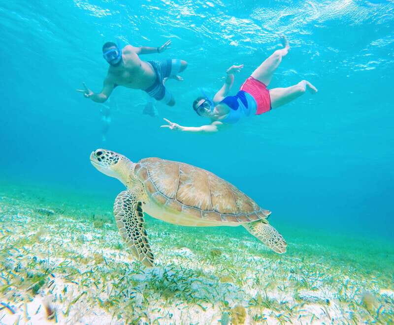 From Cozumel: Starfish, Stingrays and the Turtle Sanctuary - Who This Tour Is For