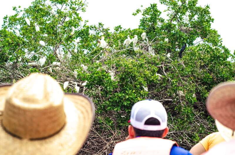 From Crucecita: Ventanilla, Zipolite, and Puerto Ángel Tour - Key Points