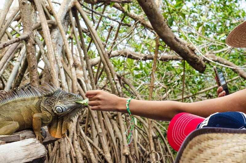 From Crucecita: Ventanilla, Zipolite, and Puerto Ángel Tour - Authentic Experiences and Honest Perspectives