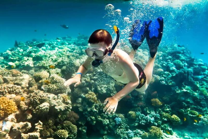 From Da Nang/Hoi An: Cham Islands Tour with Snorkeling - Key Points