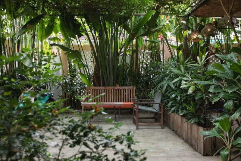from Da Nang: Hoi An Instagram Cafe Tour with Rooftop View - Practical Considerations and Value
