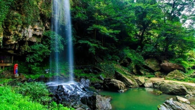 From Da Nang/Hue: Bach Ma National Park Day Trip - Key Points