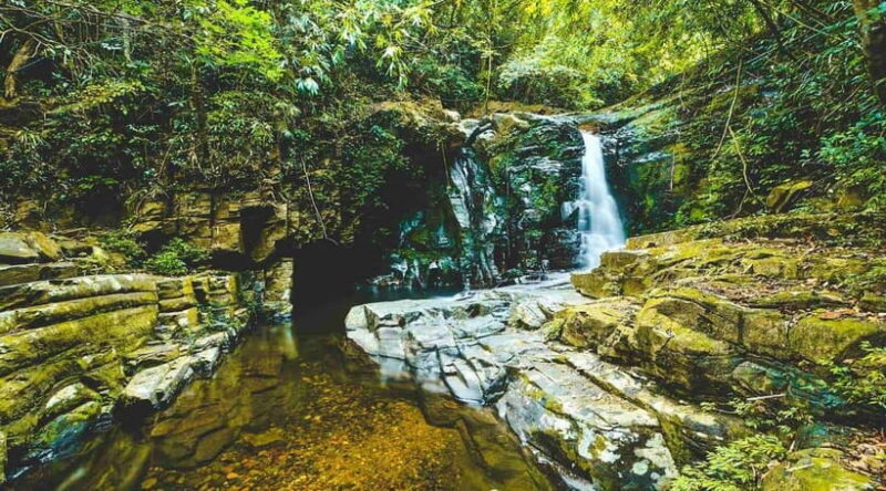 From Da Nang/Hue: Bach Ma National Park Day Trip - Who Will Love This Tour?