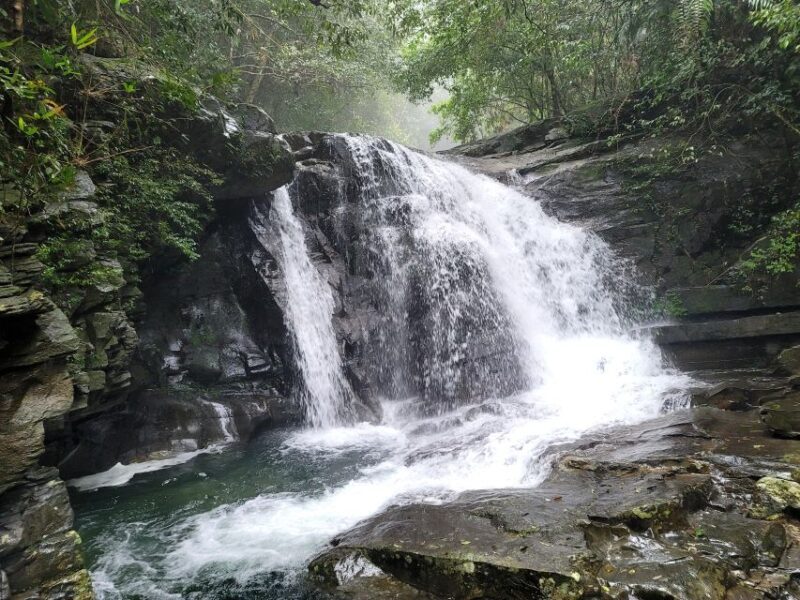 From Da Nang or Hoi An: Bach Ma National Park Trek & Lunch - Key Points