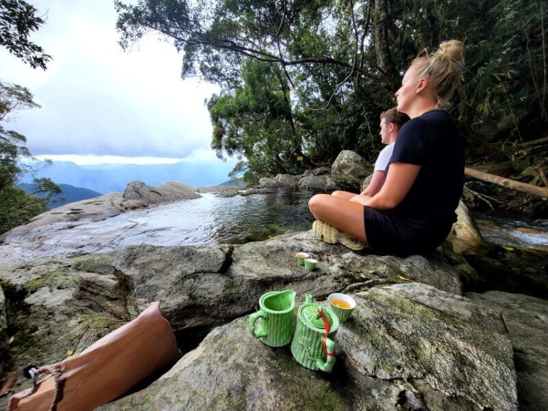 From Da Nang or Hoi An: Bach Ma National Park Trek & Lunch - FAQs