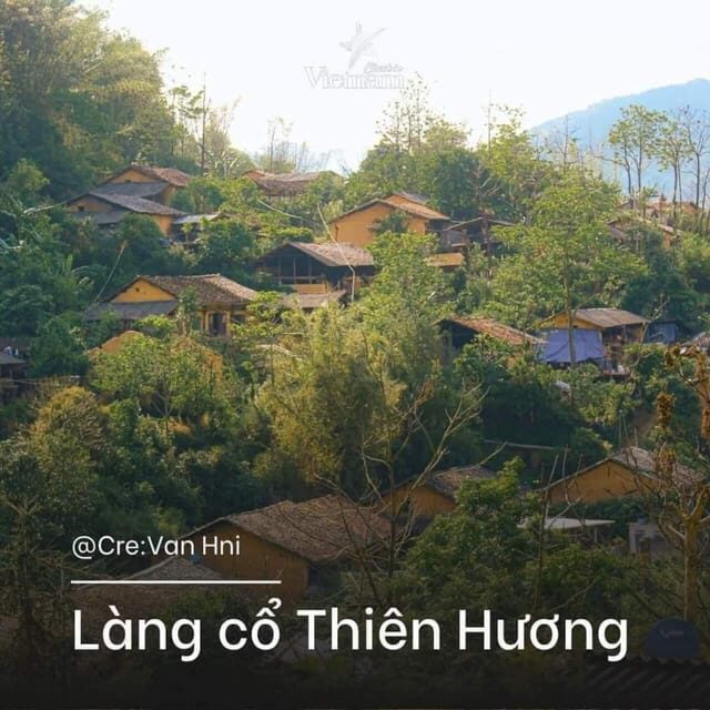 From Da Nang: Private Hoi An & My Son Sanctuary Day Trip - Practicalities and Logistics