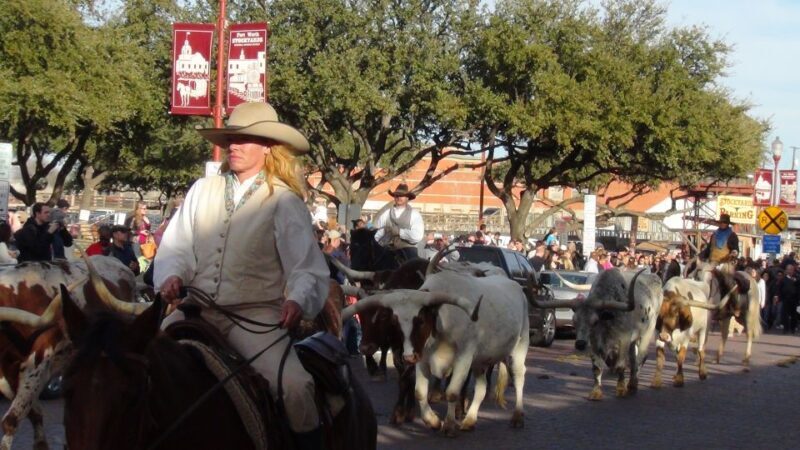 From Dallas: Fort Worth Guided Day Tour - Inside the Texas Cowboy Hall of Fame & the White Elephant Saloon