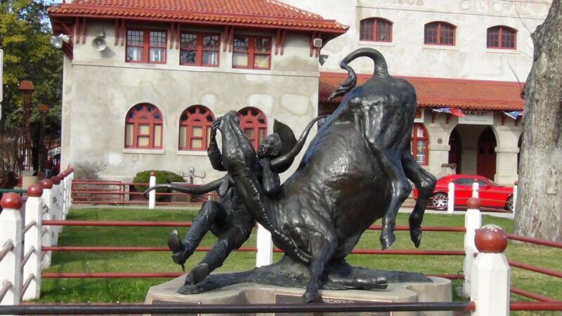 From Dallas: Fort Worth Guided Day Tour - What Real Travelers Say