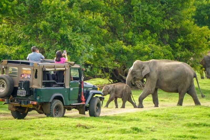 From Dambulla, Sigiriya: Polonnaruwa Tuk Tuk Day Tour - Summary: Is This Tour Worth It?