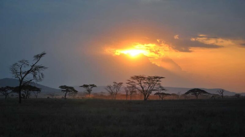 From Dar es Salaam or Zanzibar: 2-Day Mikumi National Park - Starting Point and Transportation