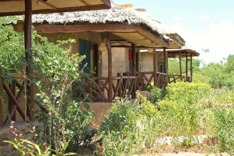 From Dar es Salaam or Zanzibar: 2-Day Mikumi National Park - Cost and Value