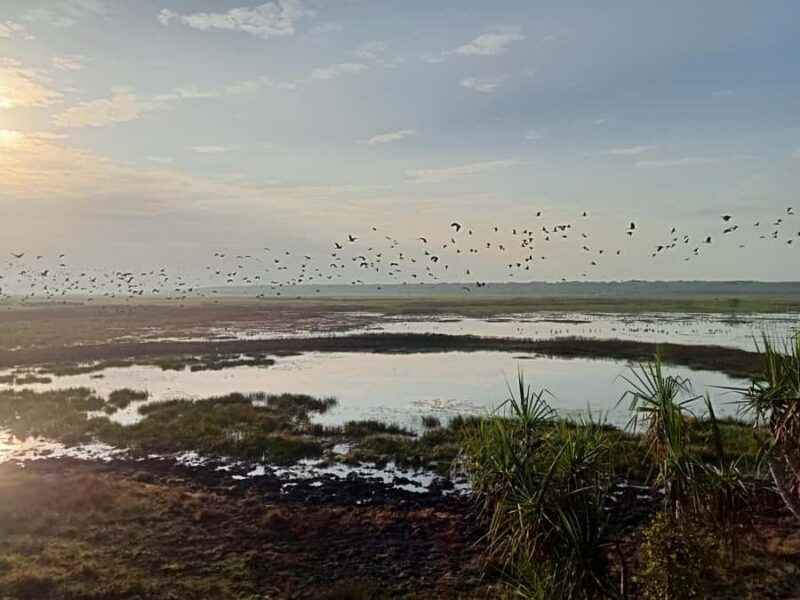 From Darwin: Kakadu 2-Day Tour - An Honest Breakdown of the Experience