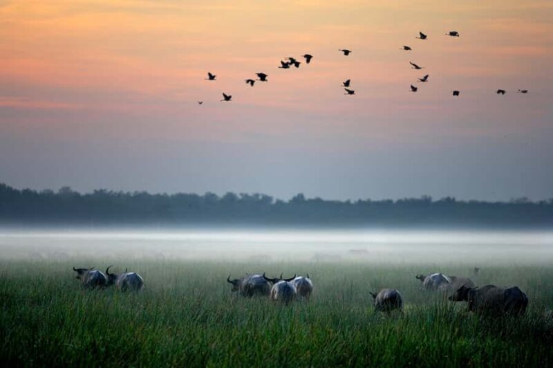 From Darwin: Kakadu National Park Day Tour with Cruise (3A) - Who Is This Tour Best For?
