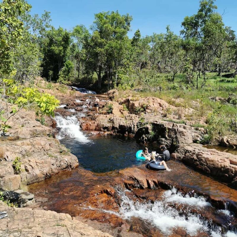 From Darwin: Litchfield National Park Small-Group Day Trip - Introduction