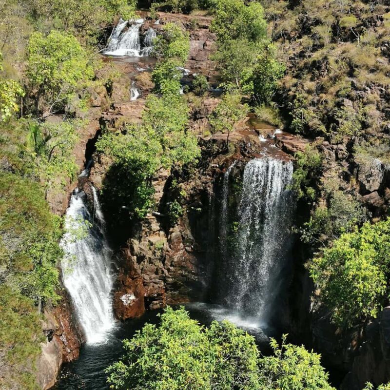 From Darwin: Litchfield National Park Small-Group Day Trip - A Detailed Look at the Itinerary