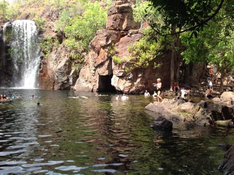 From Darwin: Litchfield Park Tour & Jumping Crocodile Cruise - Key Points