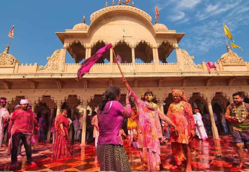 From Delhi: 1-day trip Mathura with Elephant conservation - Exploring the Highlights of the Tour