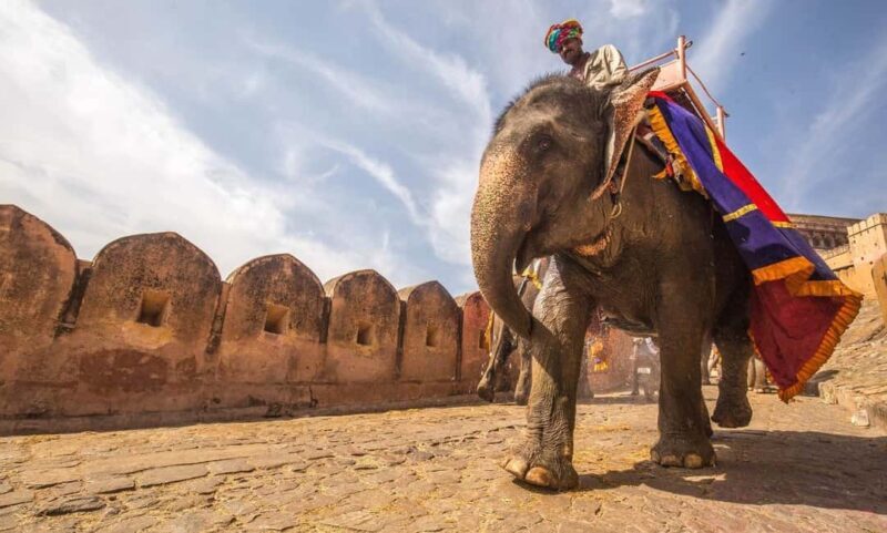 From Delhi: 4-Day Golden Triangle Delhi, Agra, & Jaipur Tour - Who Will Enjoy This Tour?