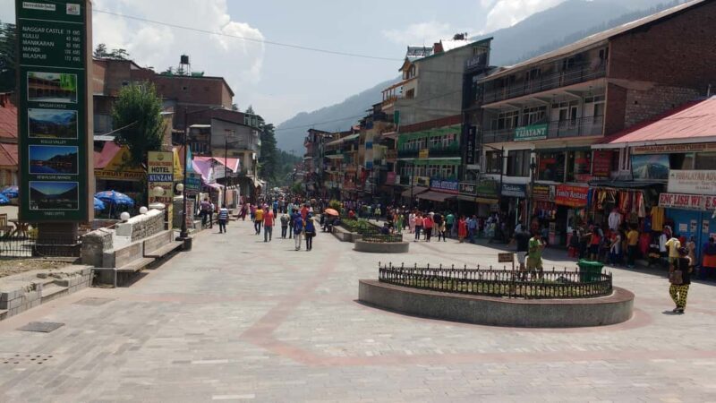 From Delhi: 4-Day Manali Tour with Transport - Who Should Consider This Tour?