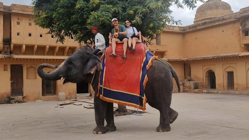From Delhi: 5-Day Golden Triangle and Tiger Safari Tour - The Itinerary Breakdown