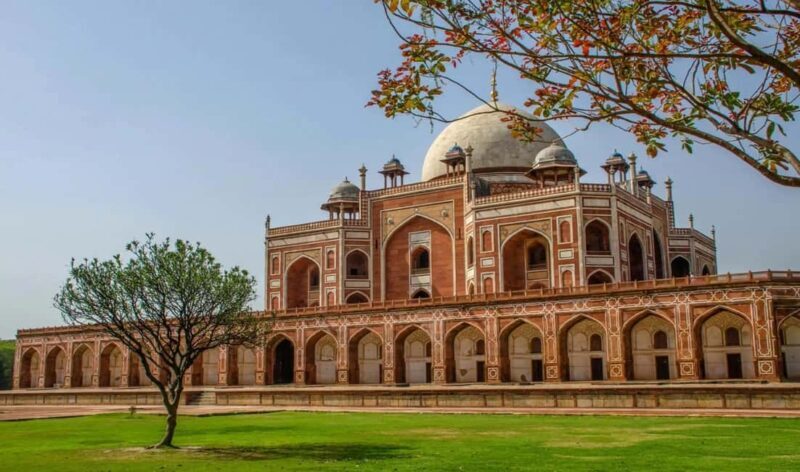 From Delhi: 5-Day Golden Triangle and Tiger Safari Tour - Authentic Experiences and Traveler Feedback