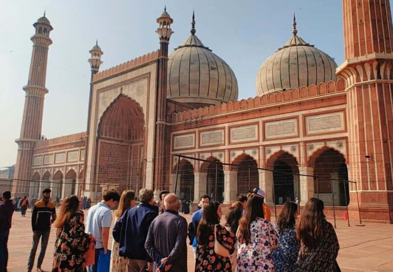 From Delhi: 5-Day Golden Triangle and Tiger Safari Tour - Who Should Consider This Tour?
