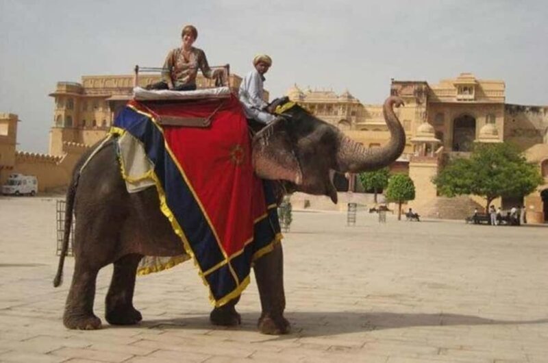 From Delhi: 5-Day Golden Triangle Tour with Ranthambore - Final Thoughts