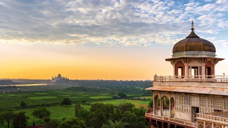 From Delhi: 5-Day Tiger Safari & Golden Triangle Tour - Who Should Consider This Tour?