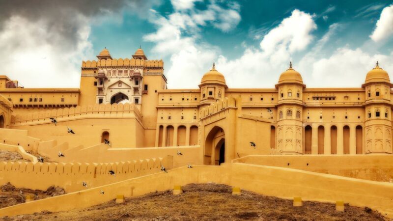 From Delhi: 5-Day Tiger Safari & Golden Triangle Tour - Final Thoughts