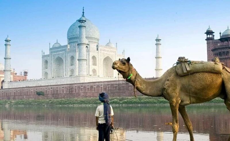 From Delhi: 5 Days Golden Triangle Delhi, Agra & Jaipur Tour - Transportation, Group Size, and Price