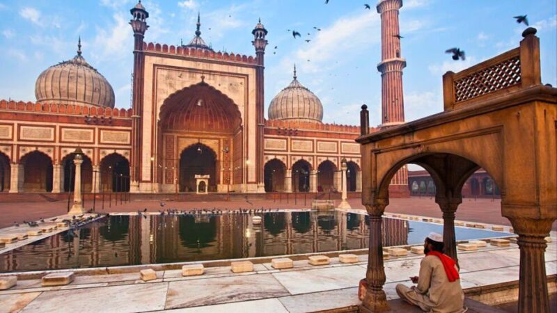 From Delhi: 5-Days Golden Triangle Tour with Tiger Safari - The Itinerary Breakdown: What to Expect