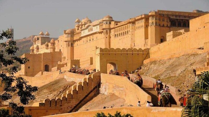 From Delhi: 5 Days Private Luxury Golden Triangle Tour - Wrapping Up and Heading Back to Delhi