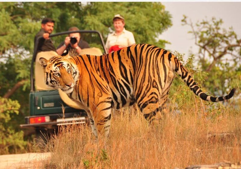 From Delhi: 6-Day Golden Triangle Tour with Ranthambore - A Deep Dive into the 6-Day Itinerary