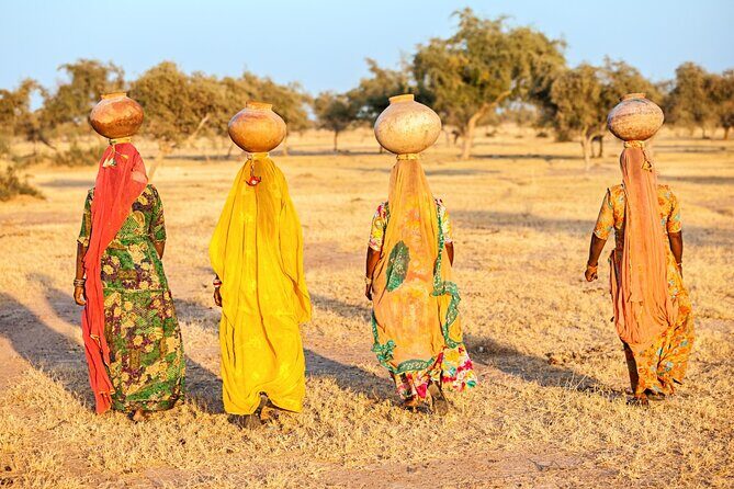 From Delhi: 8 Day Tiger Safari and Golden Triangle Tour - Who Should Consider This Tour?