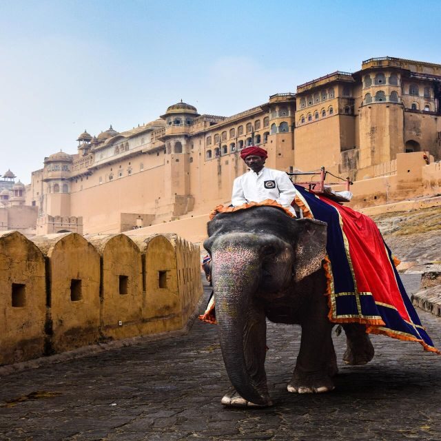 From Delhi: Golden Triangle Multi-Day Guided Private Tour - FAQ