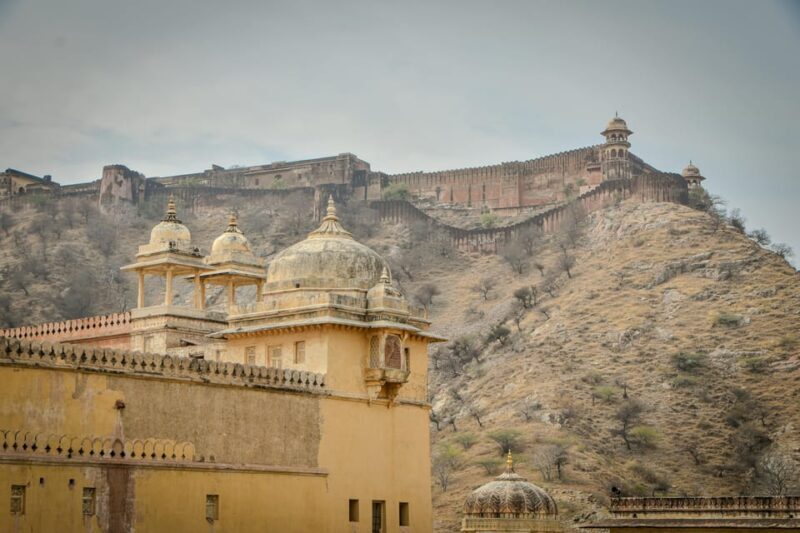 From Delhi: Jaipur Cultural & Historical Private City Tour - Who Will Value This Tour Most?