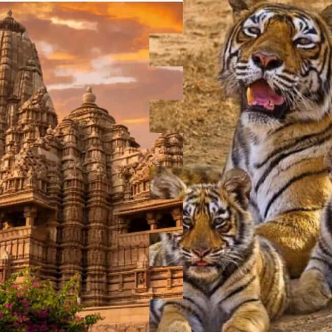 From Delhi: Khajuraho Kamasutra Temples & Panna Safari Tour - The Journey From Delhi to Khajuraho