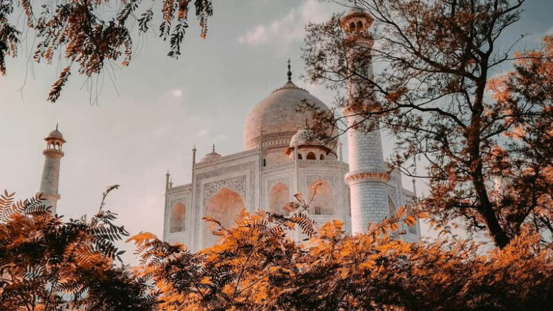 From Delhi: One Day Taj Mahal Tour with Mathura - Who Would Love This Tour?