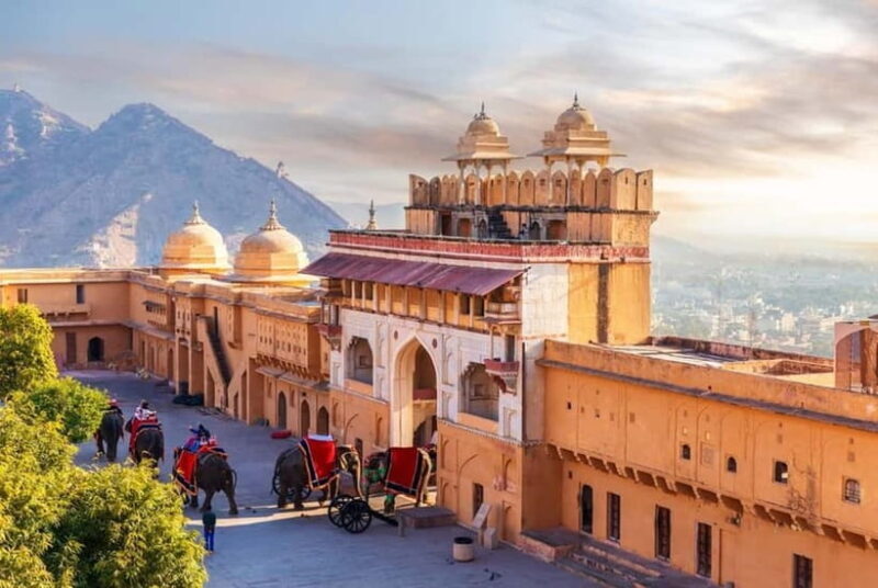 From Delhi: Private Full-Day Jaipur Highlights Tour - Jal Mahal and Hawa Mahal: Water and Honeycomb Wonders
